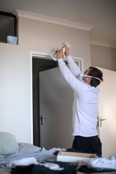 Best Mold Damage Restoration  in St Ignace, MI