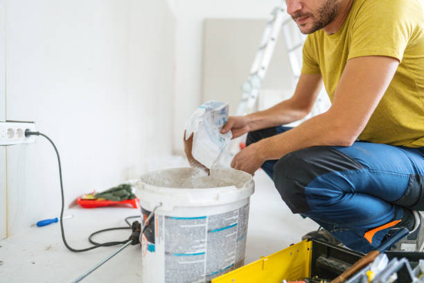 Best Mold Remediation for Healthcare Facilities  in St Ignace, MI