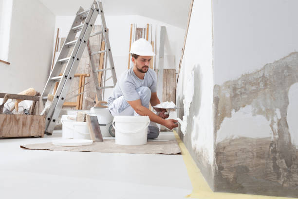 Best Commercial Mold Inspection  in St Ignace, MI