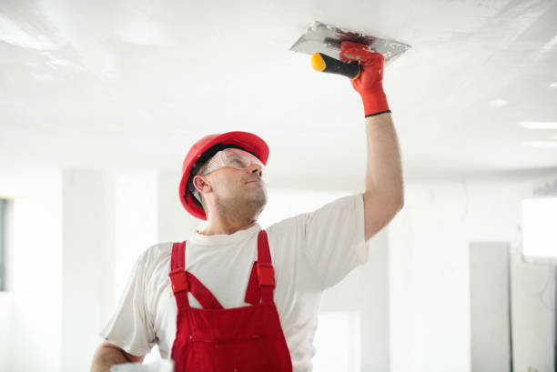 Best Mold Odor Removal Services  in St Ignace, MI