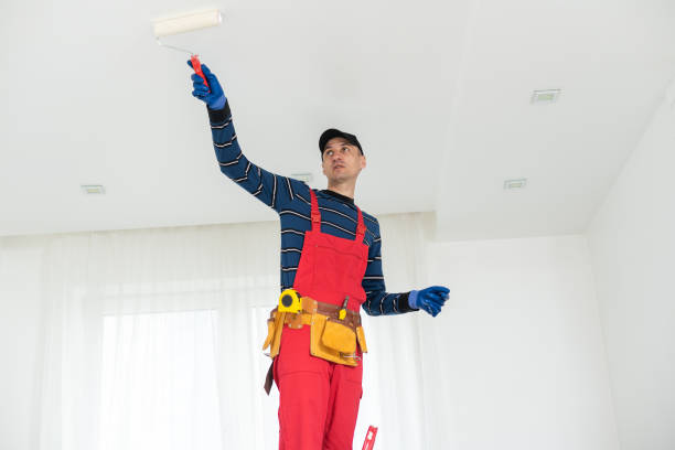 Trusted St Ignace, MI Mold Removal Experts