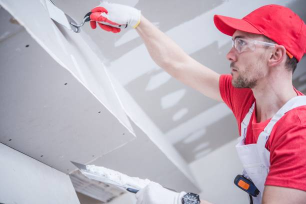 Biohazard Mold Removal in St Ignace, MI